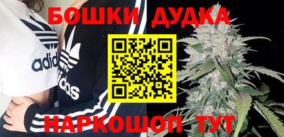 стафф Пенза