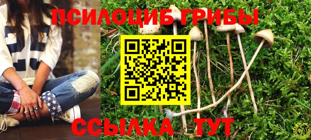 Россошь  Галлюциногенные грибы Magic Shrooms  Вход с VPN 